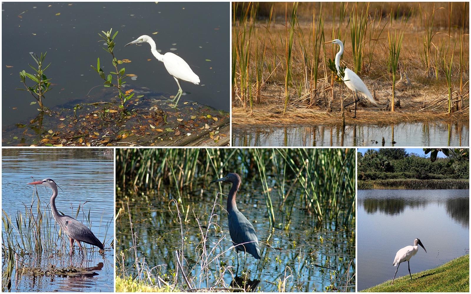 Image 57 of 70 For 8208 Nice Way