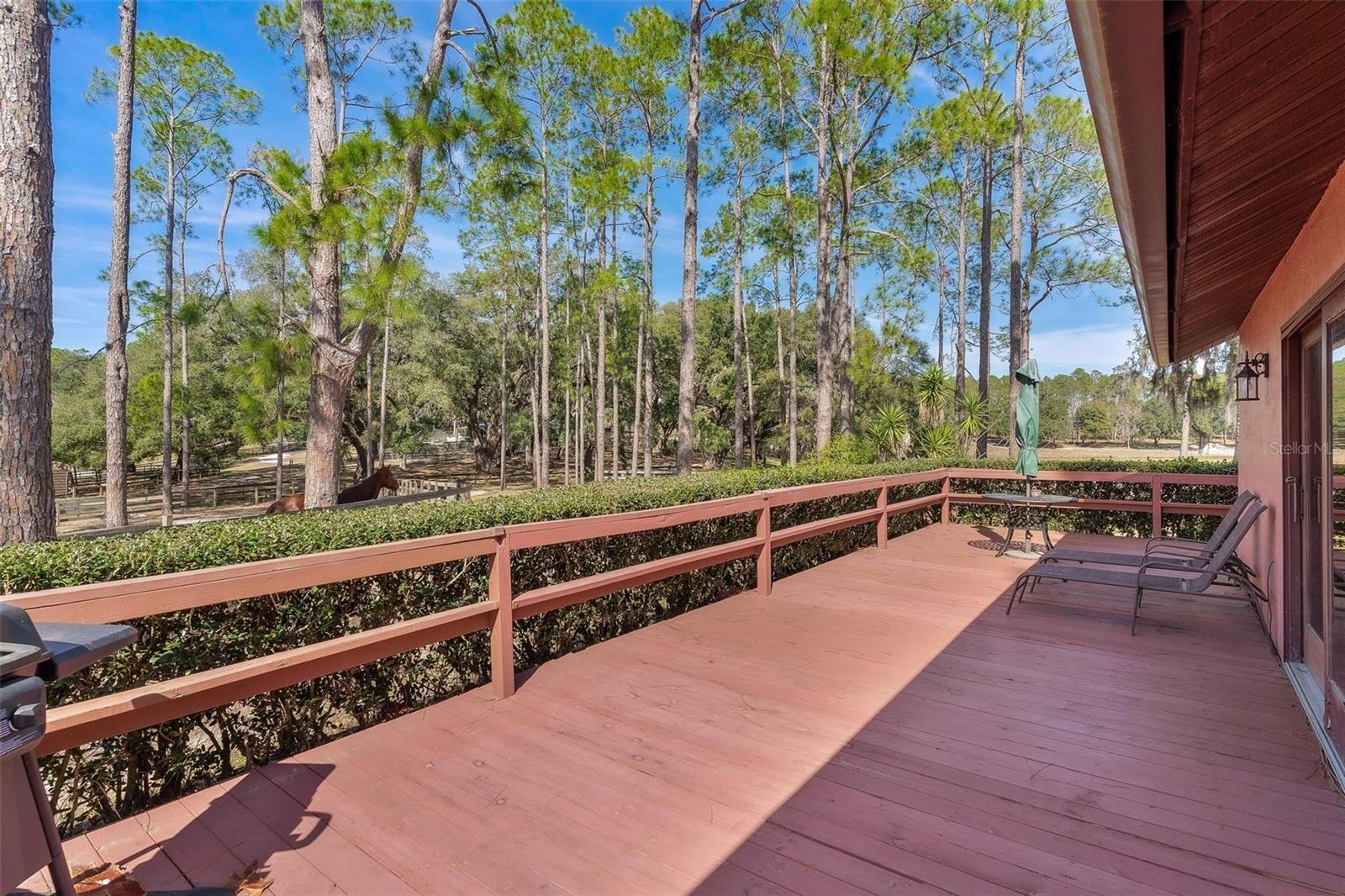 Image 7 of 78 For 42645 Altoona Road