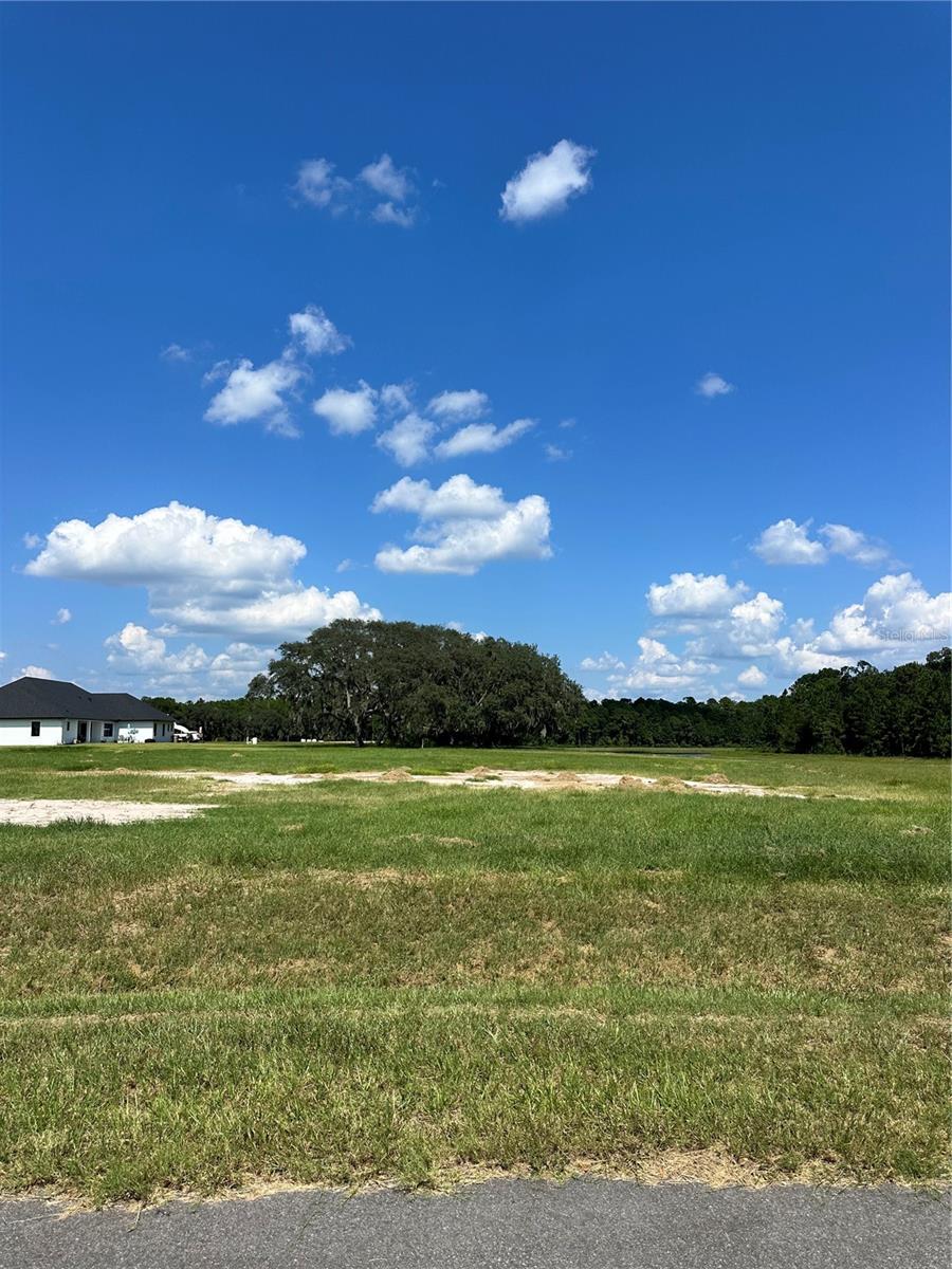 Details for 20276 Shoreline Ranch Lane, UMATILLA, FL 32784