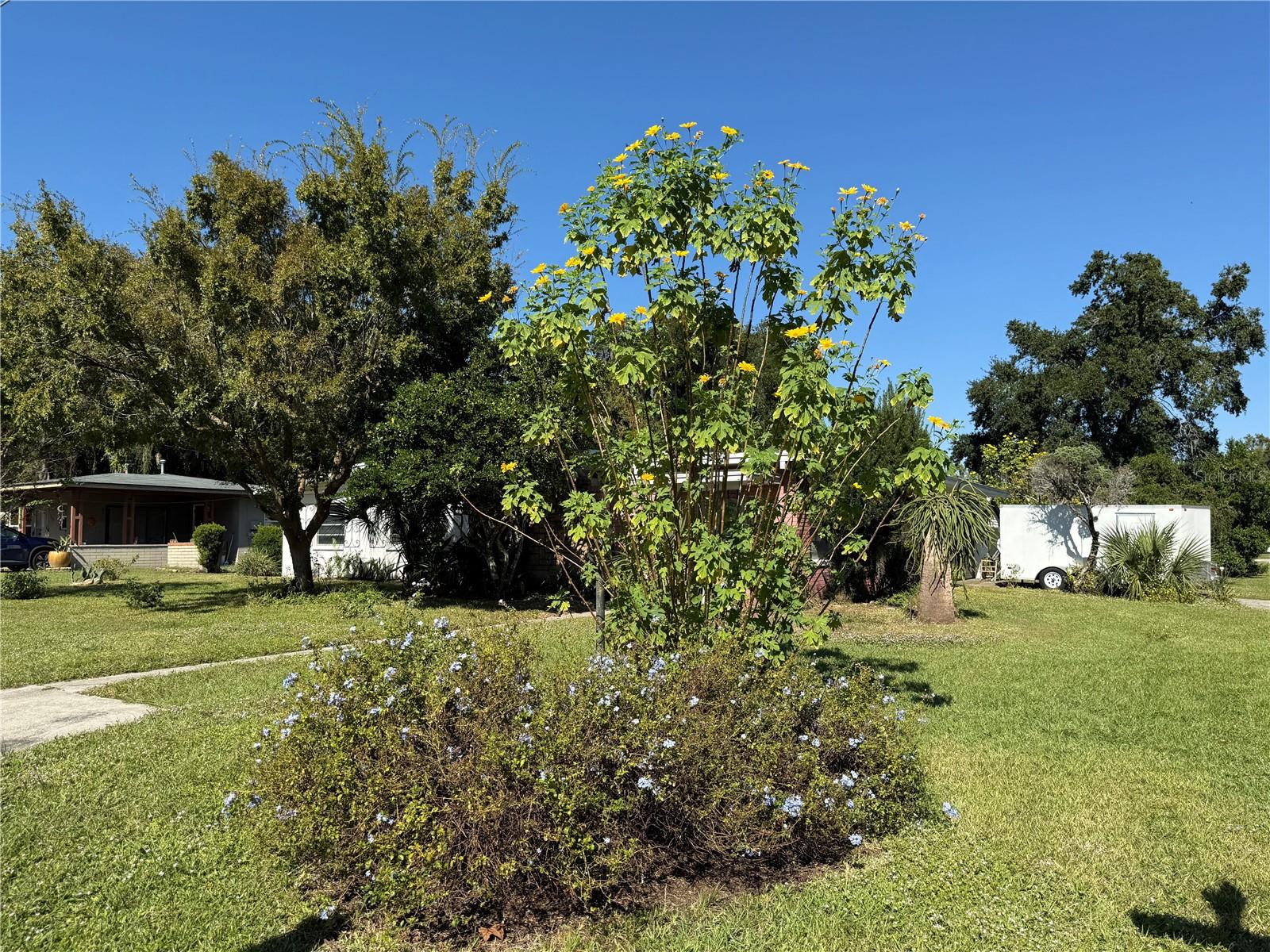 Image 25 of 35 For 2200 Butler Street