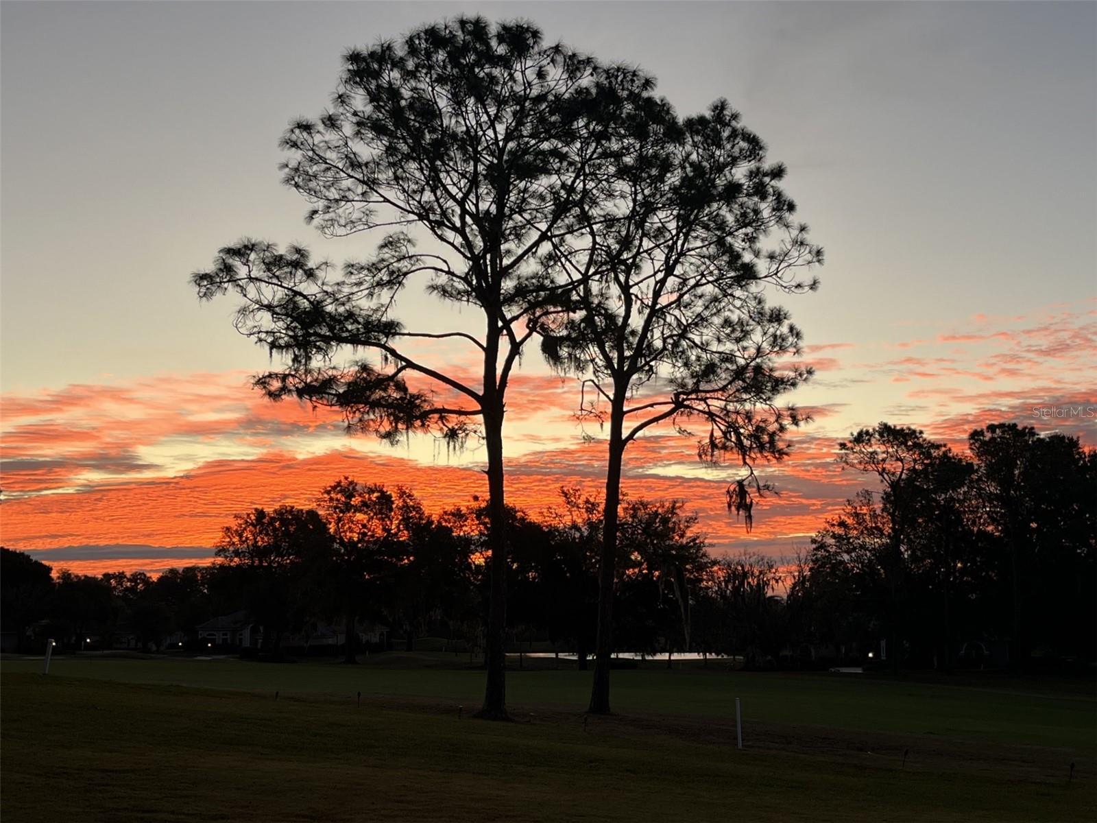 Image 51 of 58 For 39342 Harbor Hills Boulevard