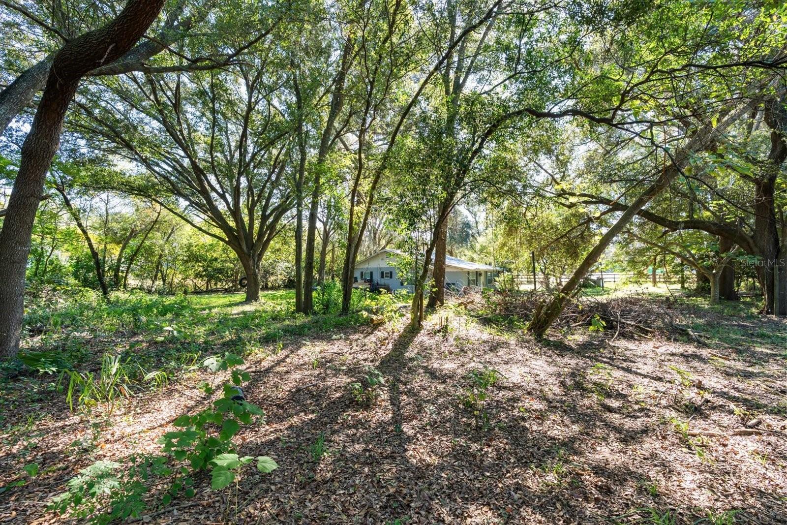 Image 4 of 36 For 2009 Robie Avenue