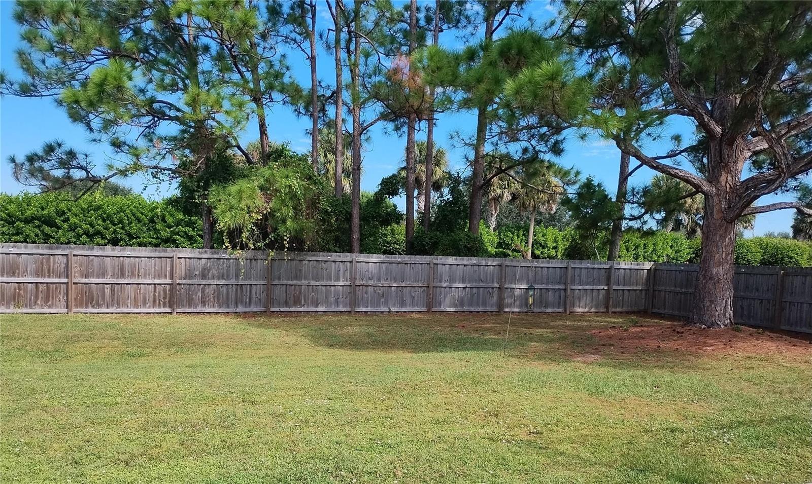 Image 3 of 21 For 361 Fairway Avenue