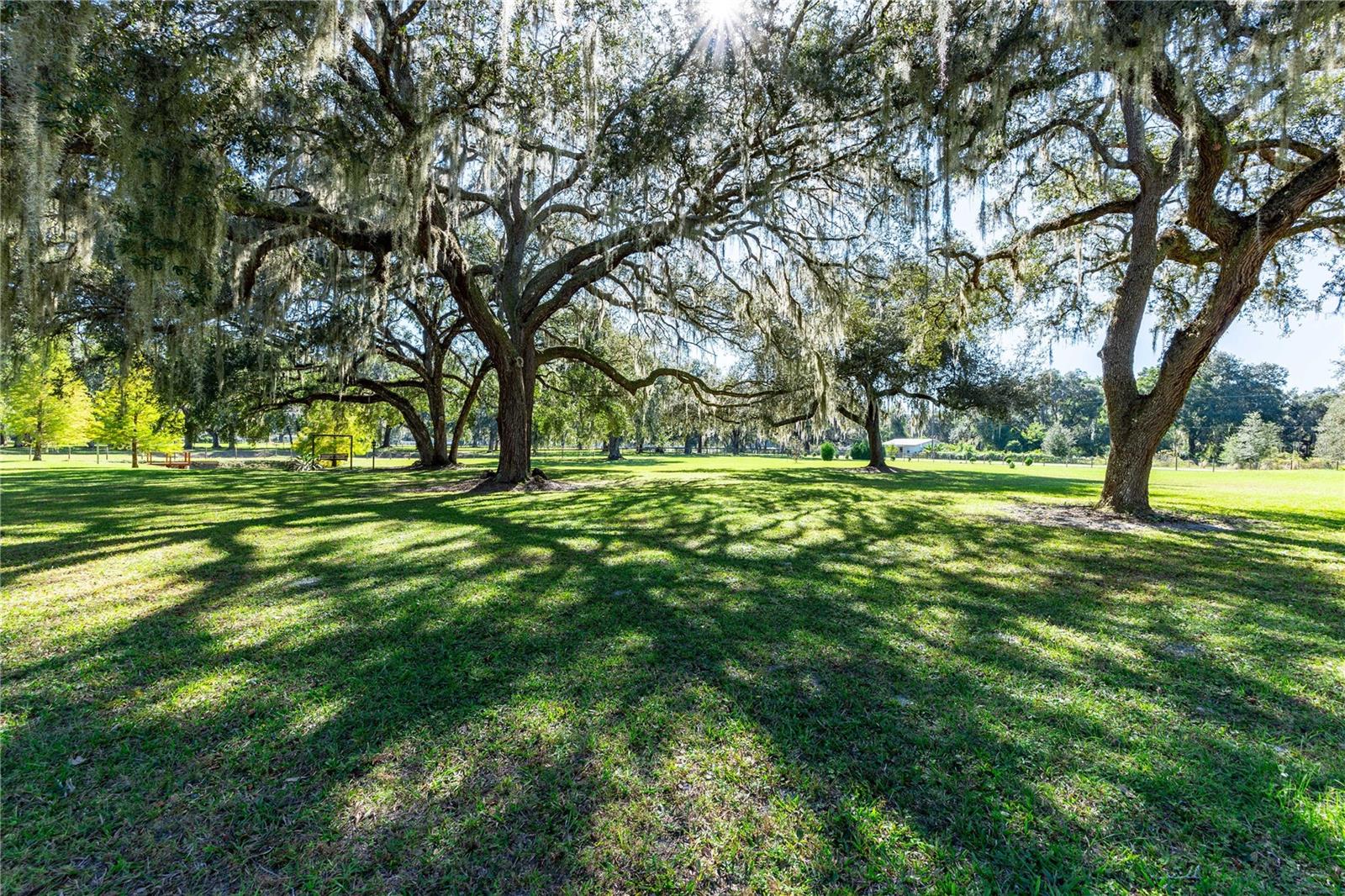 Image 36 of 72 For 7037 Cr 625  