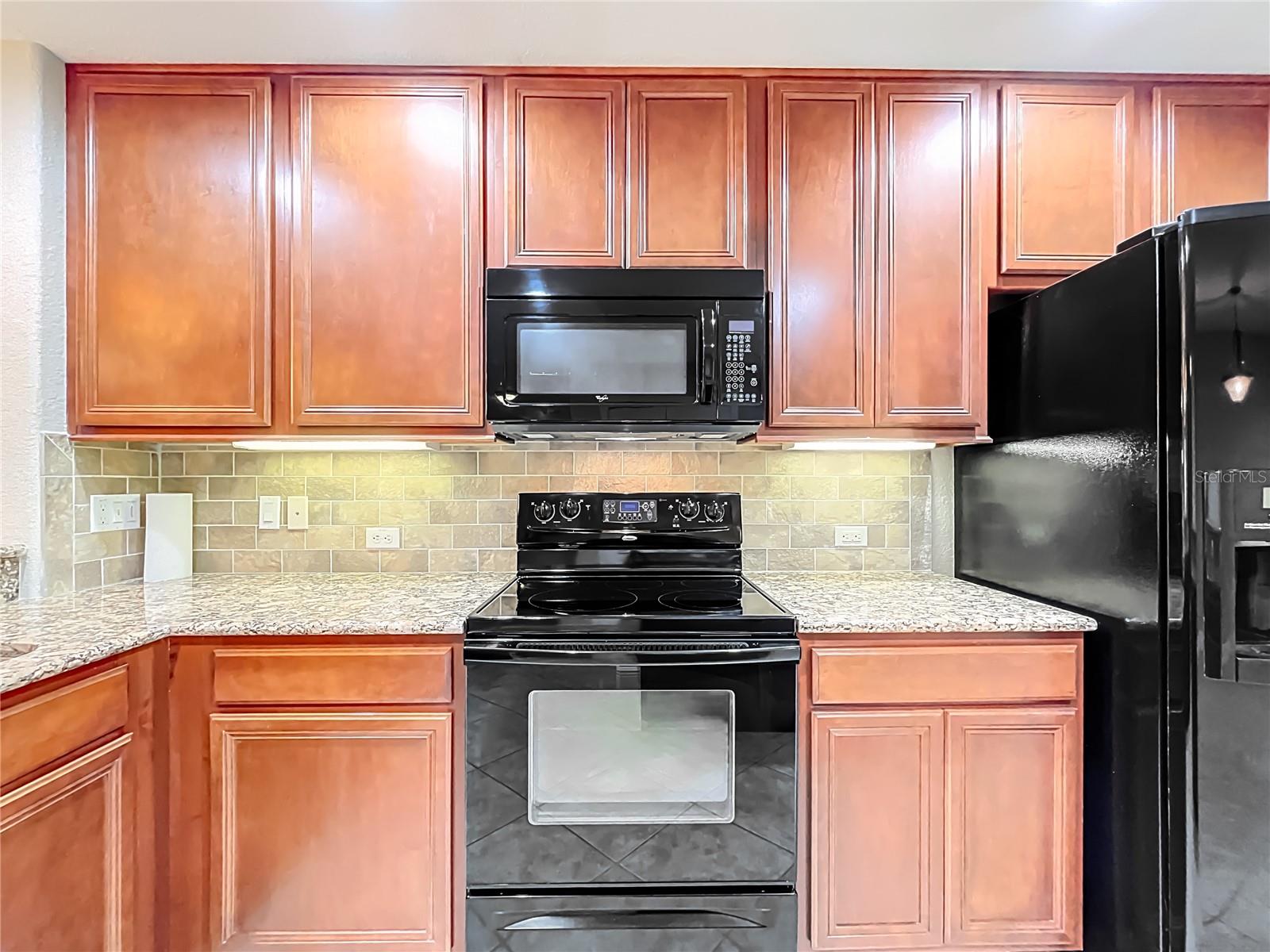 Image 8 of 55 For 30442 Lipizzan Terrace