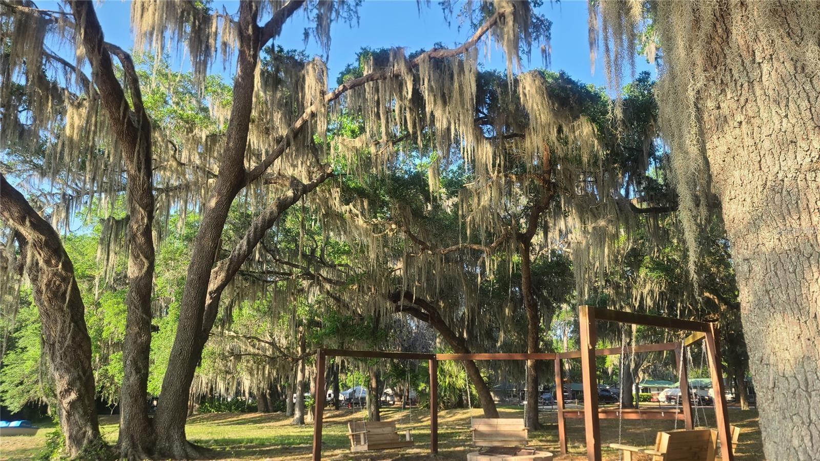 Image 14 of 20 For 25205 142nd Street