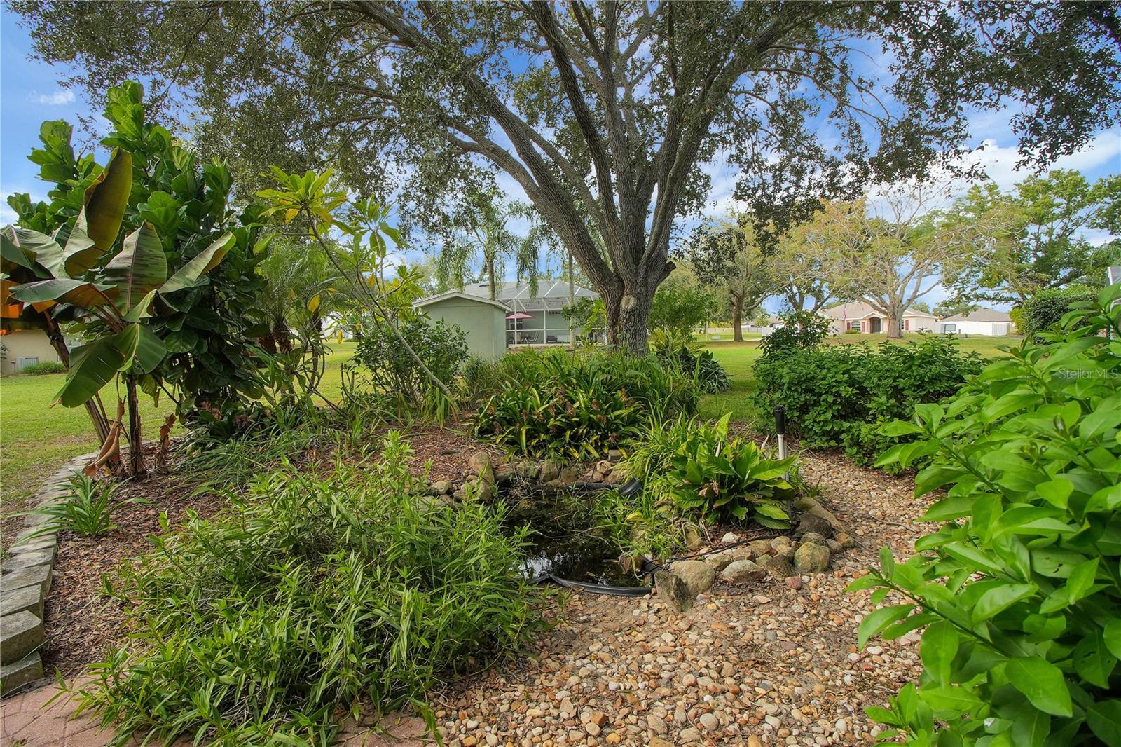 Image 13 of 39 For 36629 Francis Drive