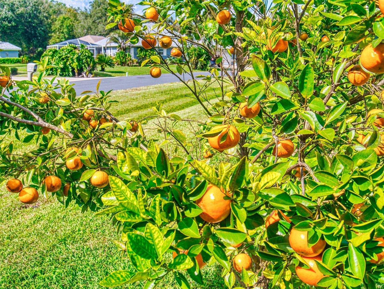 Image 71 of 83 For 2533 Chivalry Court