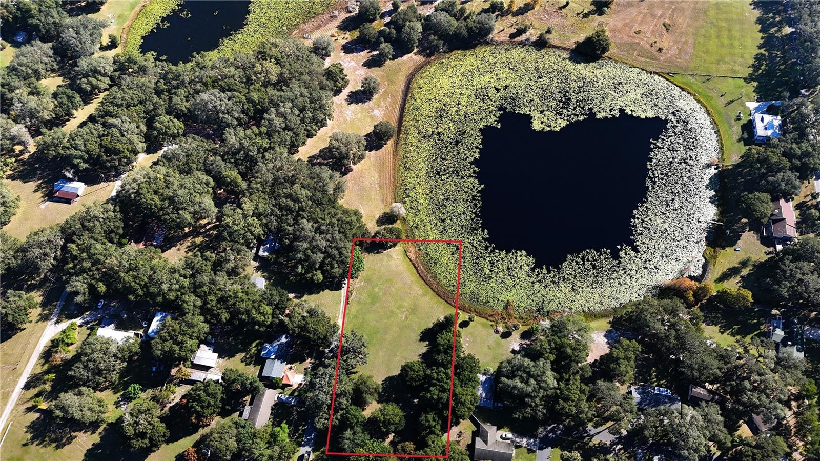 Image 14 of 18 For 140 Lemon Street