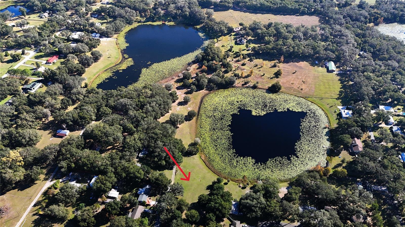 Image 15 of 18 For 140 Lemon Street