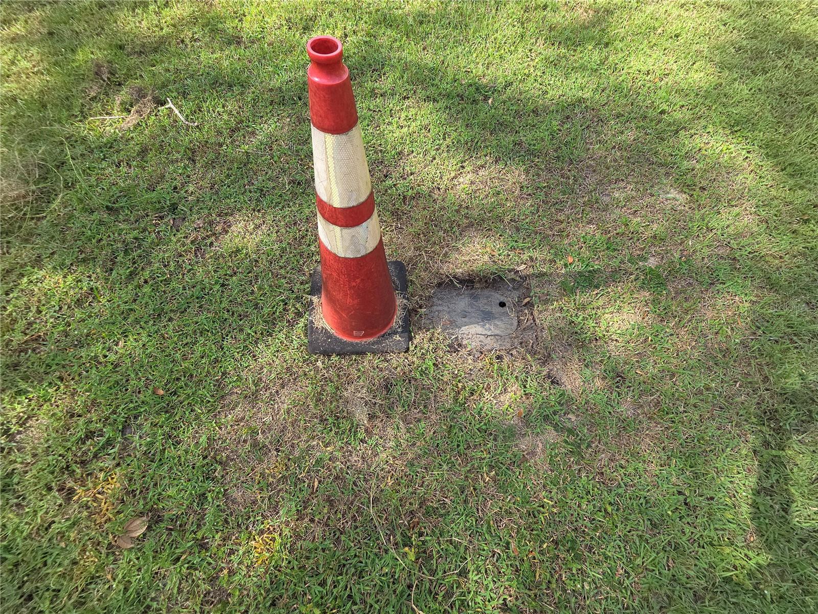 Image 5 of 18 For 140 Lemon Street