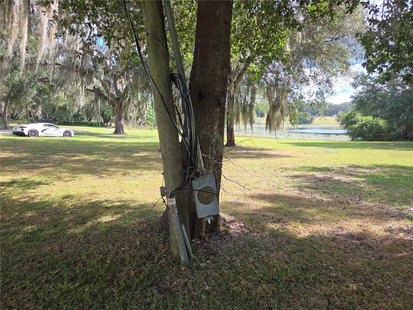 Image 6 of 18 For 140 Lemon Street