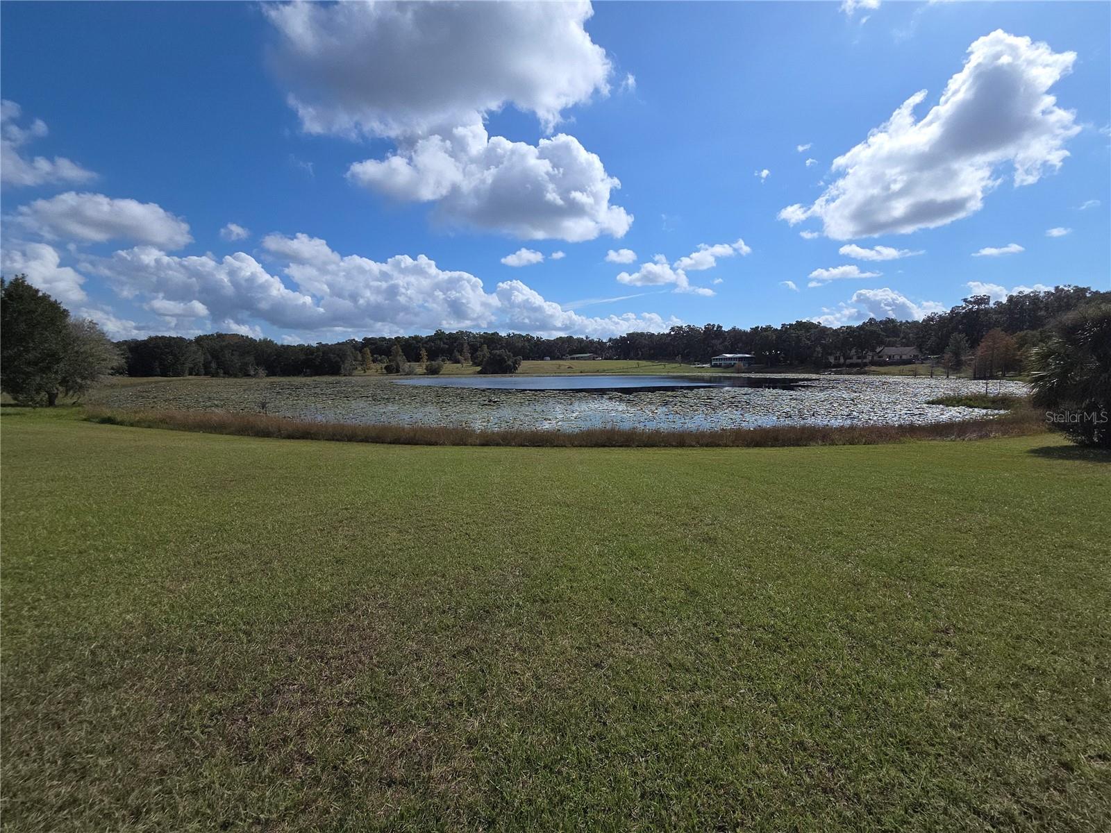 Image 8 of 18 For 140 Lemon Street