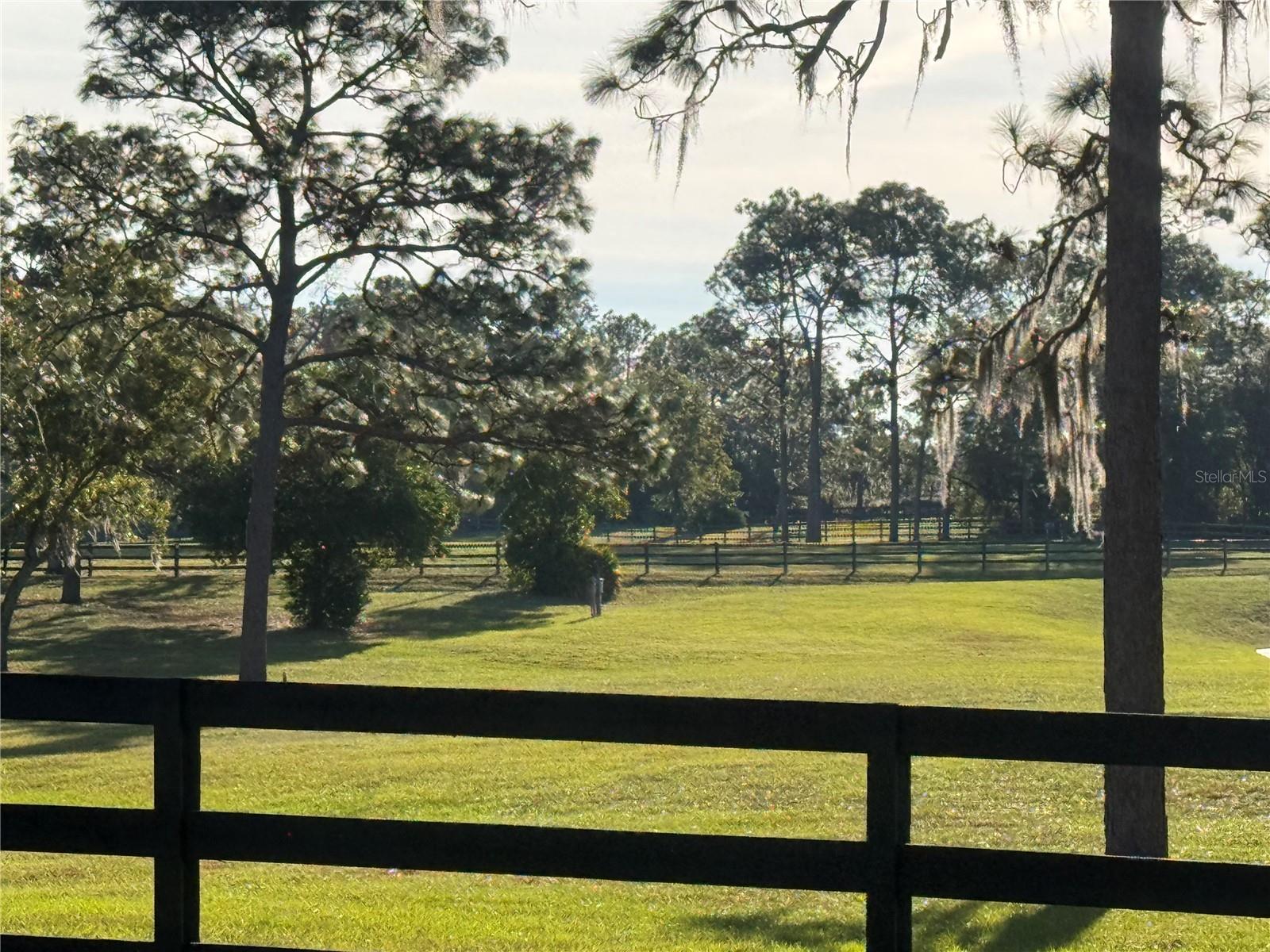 Image 11 of 20 For 3238 Sheriff Drive