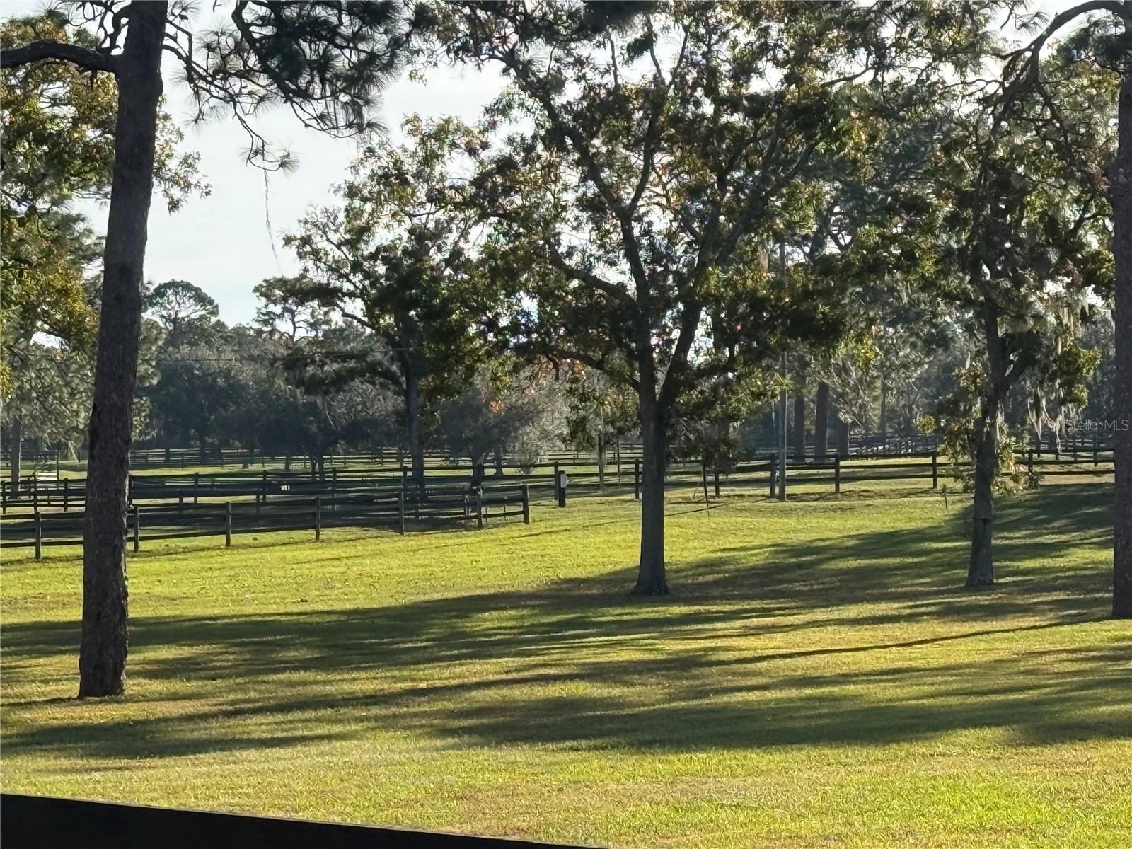 Image 12 of 20 For 3238 Sheriff Drive