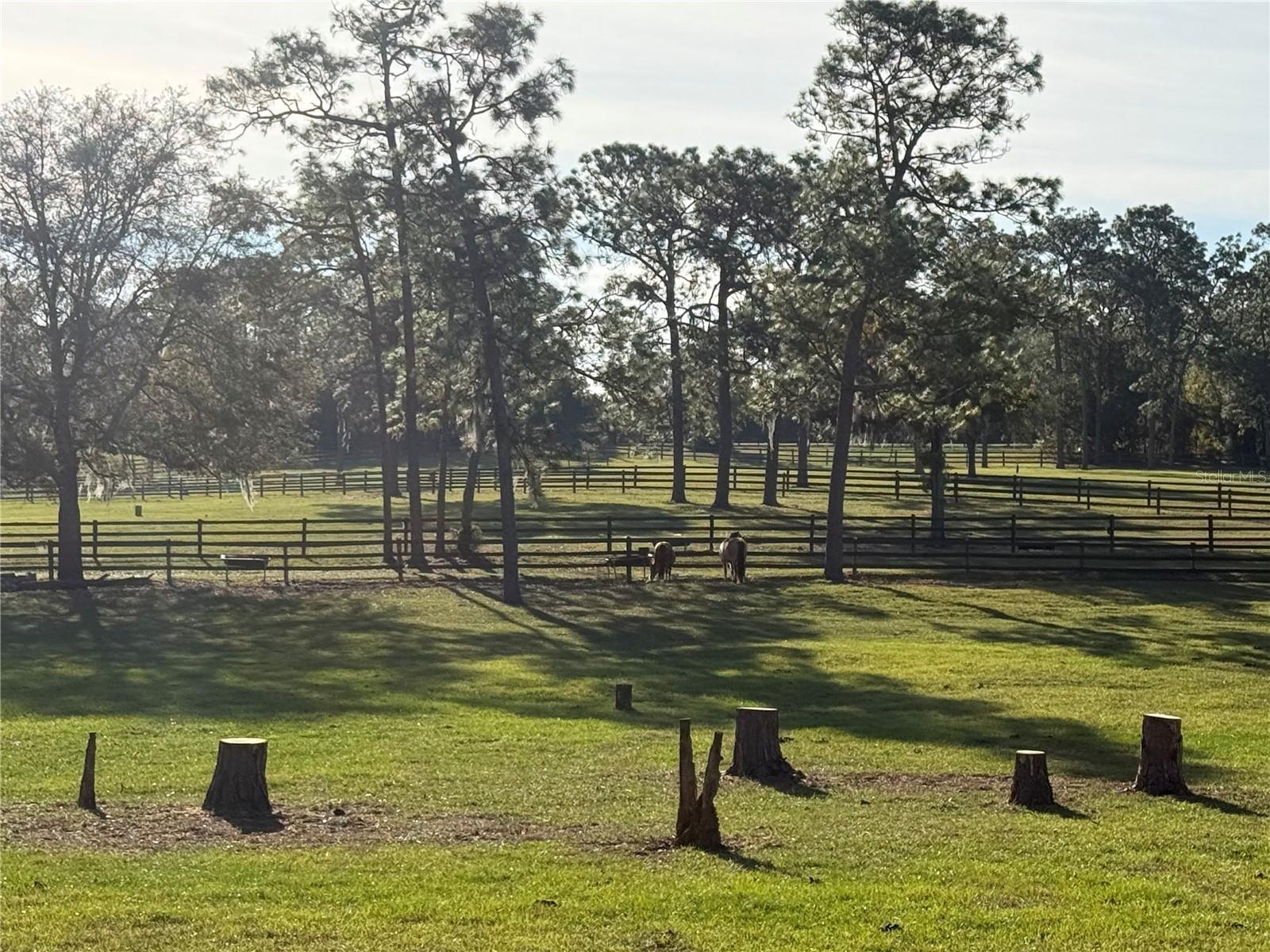 Image 19 of 20 For 3238 Sheriff Drive