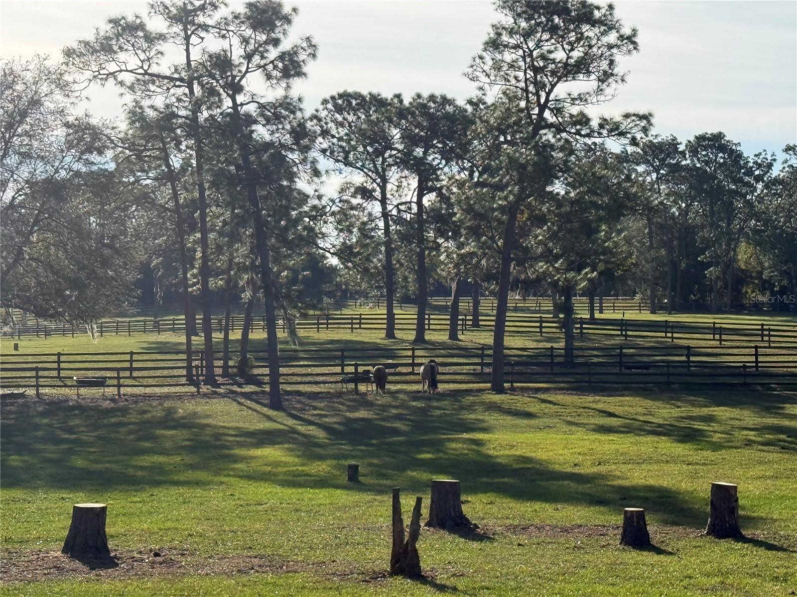 Image 20 of 20 For 3238 Sheriff Drive