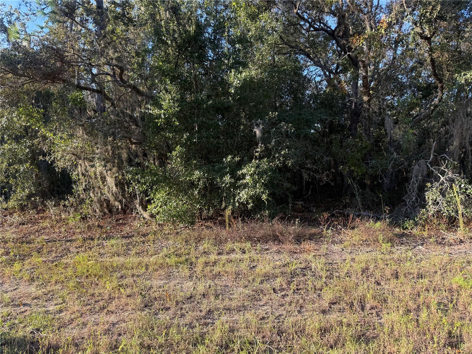 Image 3 of 20 For 3238 Sheriff Drive