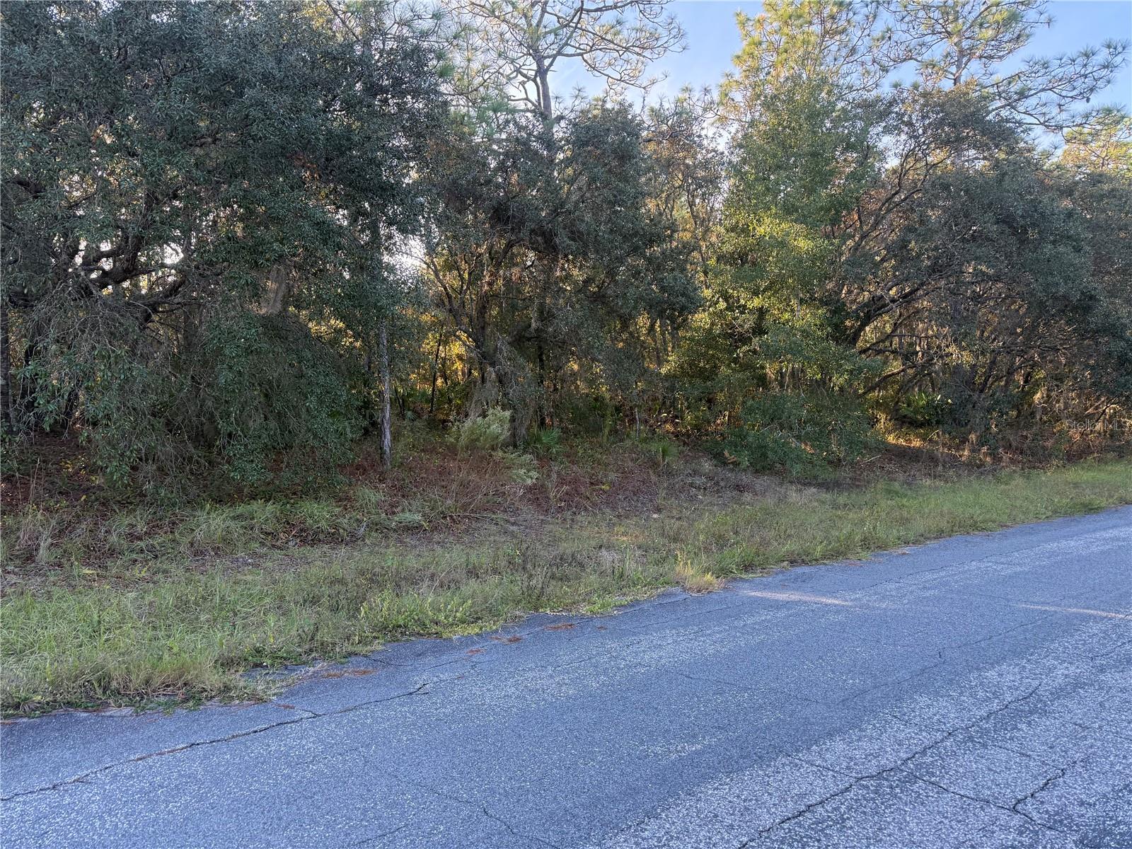 Image 5 of 20 For 3238 Sheriff Drive