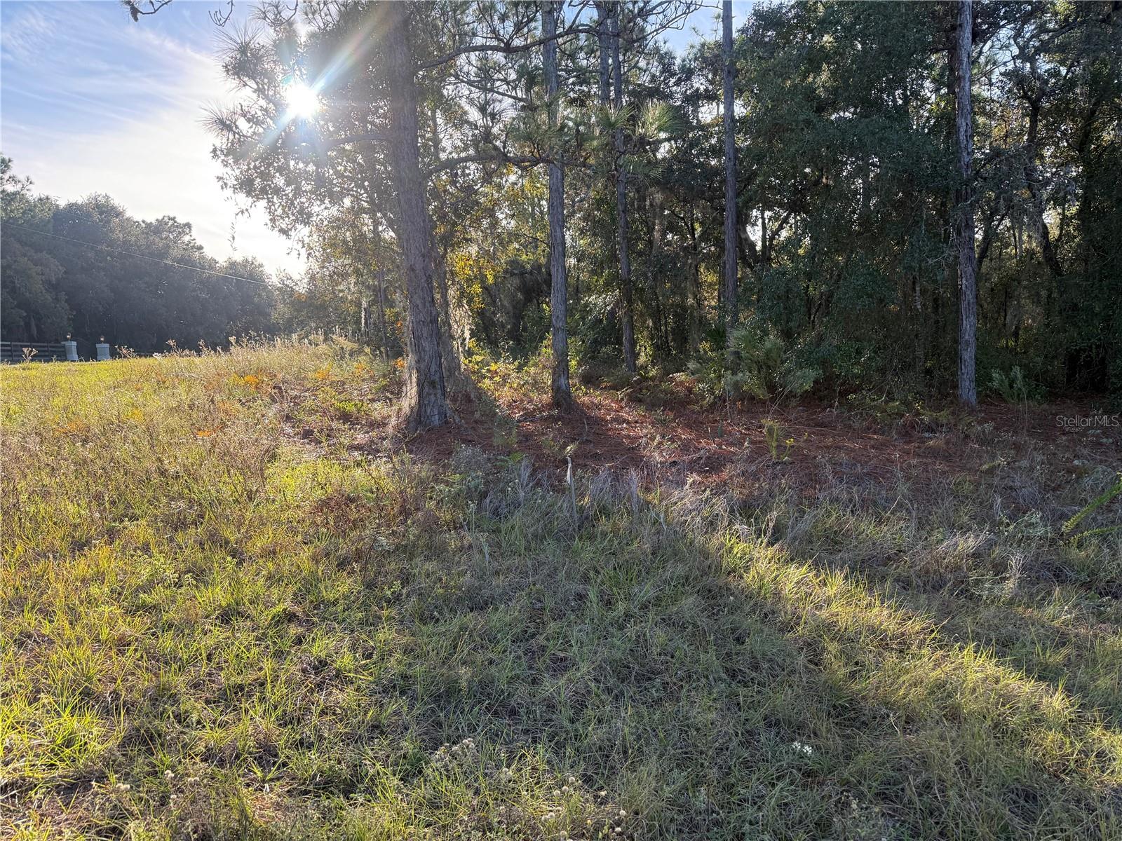 Image 6 of 20 For 3238 Sheriff Drive