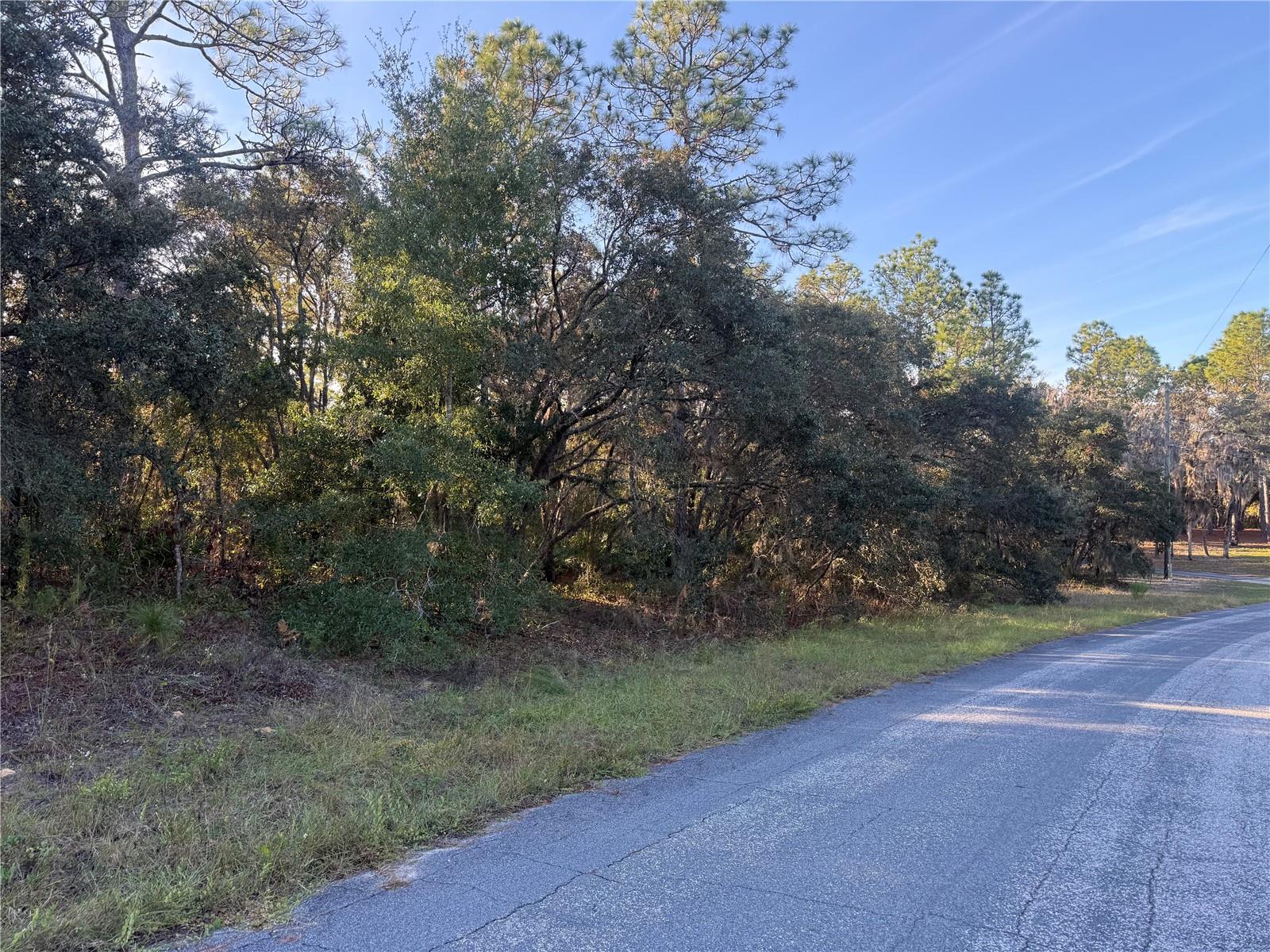 Image 7 of 20 For 3238 Sheriff Drive