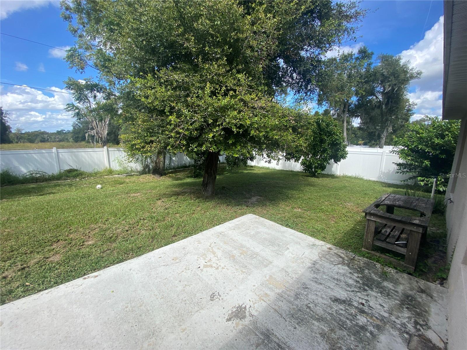 Image 16 of 18 For 2201 Angel Fish Loop