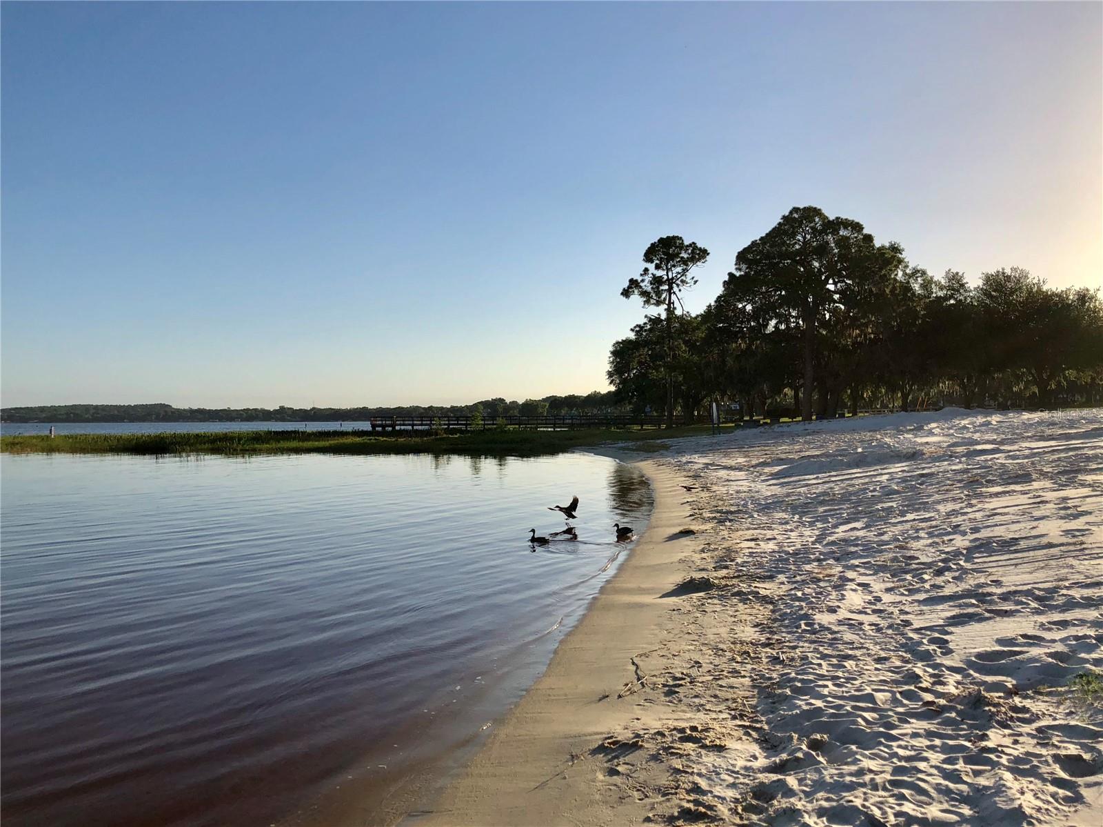 Image 46 of 54 For 495 Carroll Street