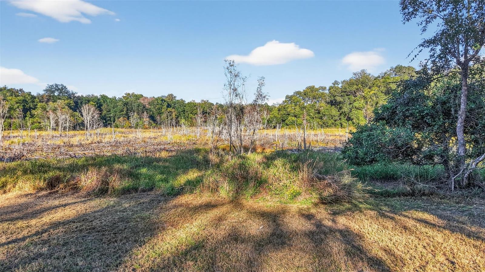 Image 45 of 57 For 11400 185th Terrace