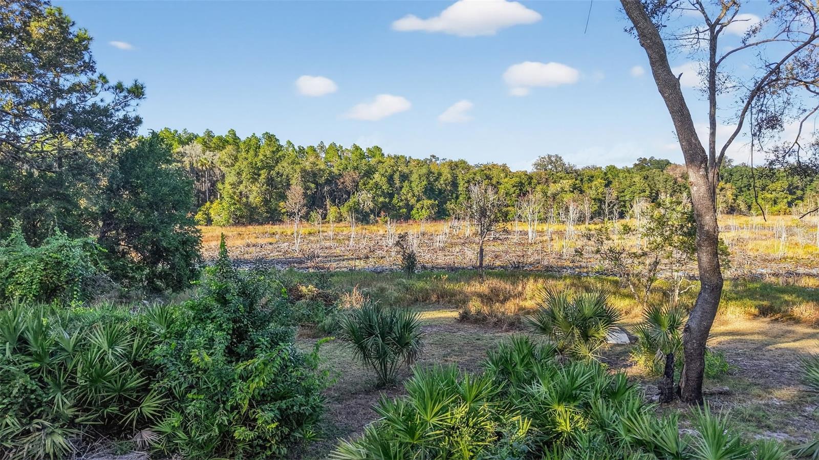 Image 46 of 57 For 11400 185th Terrace