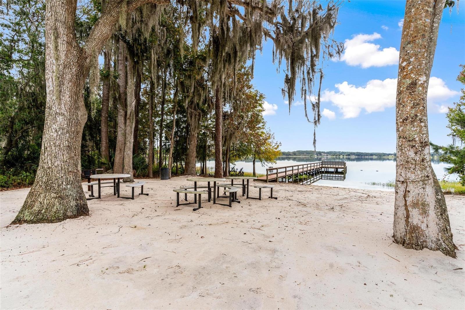 Image 47 of 57 For 38218 Sabal Way