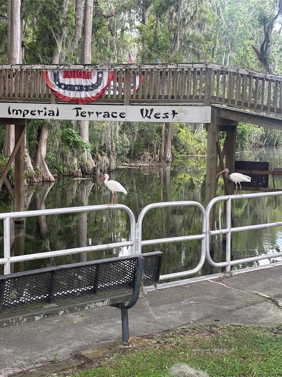 Image 26 of 29 For 11600 Magnolia Avenue