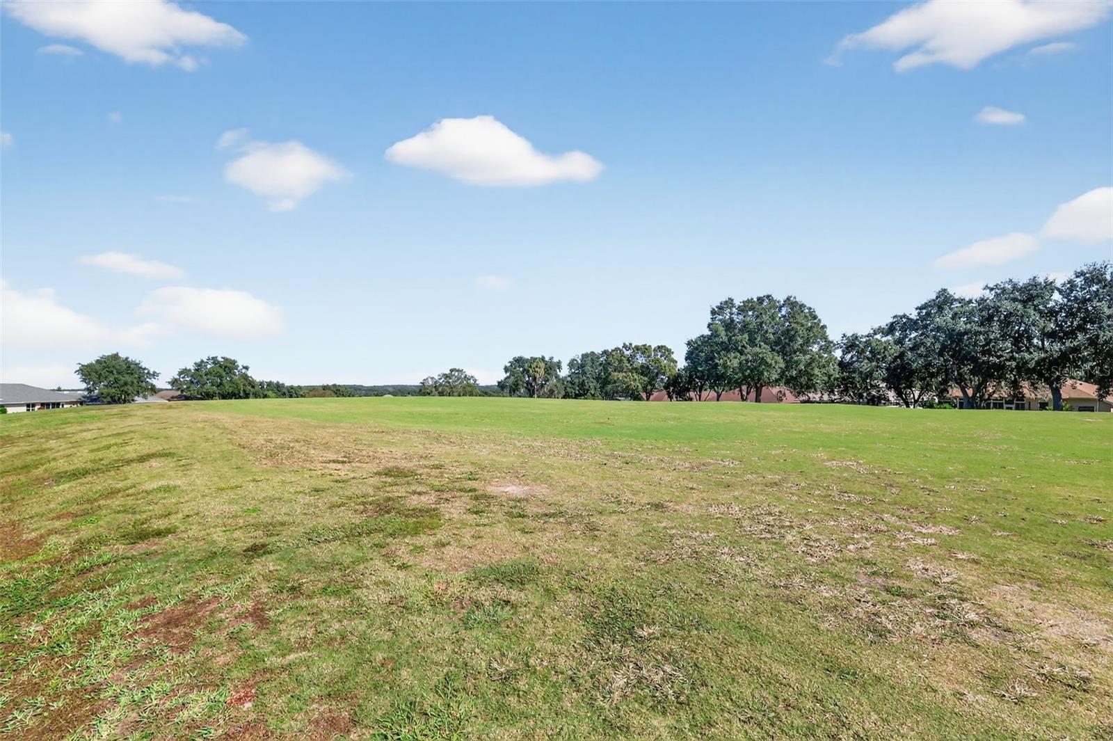 Image 37 of 66 For 21202 Braveheart Drive