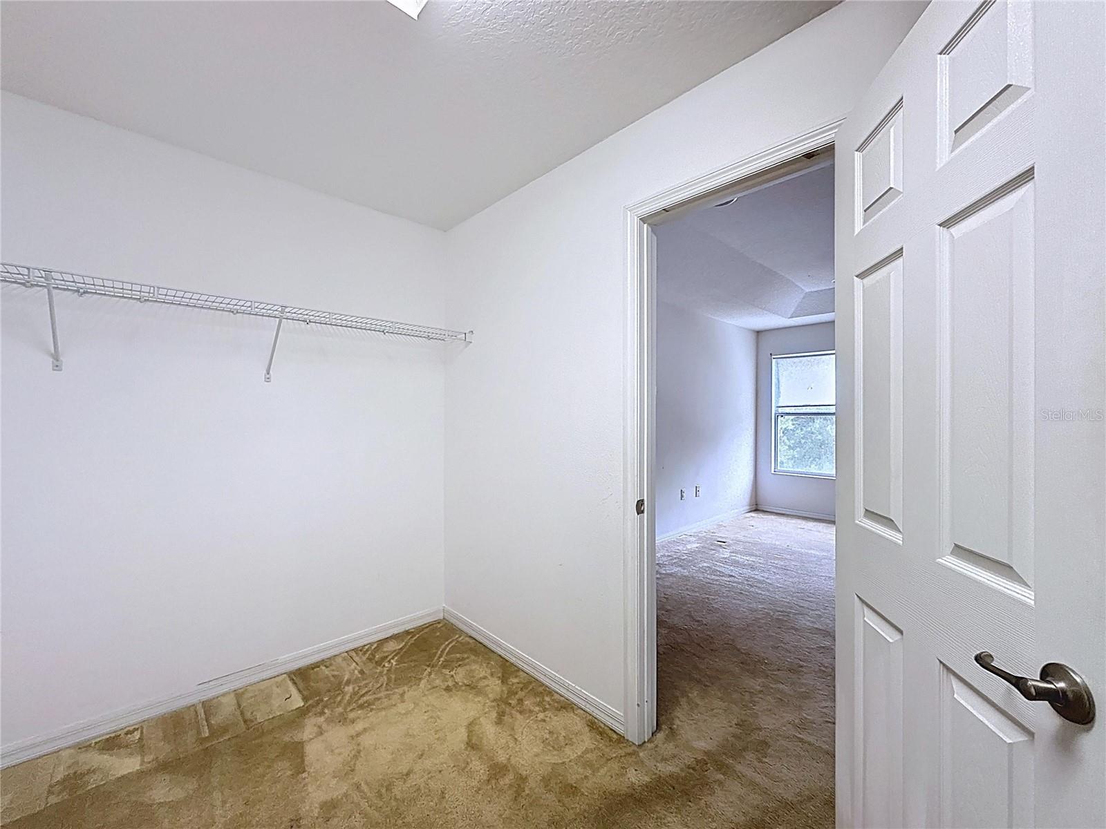 Image 43 of 74 For 3151 Cedar Hammock Court