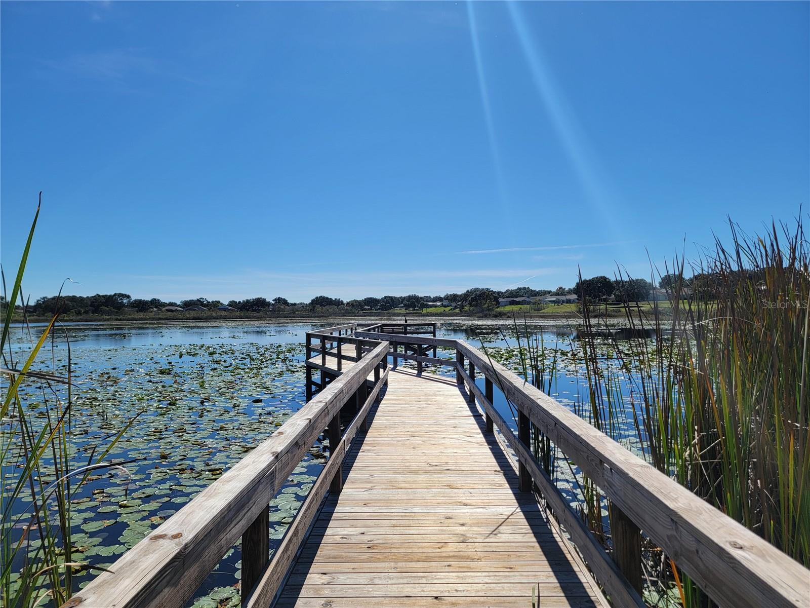 Image 65 of 76 For 4712 Belle Grove