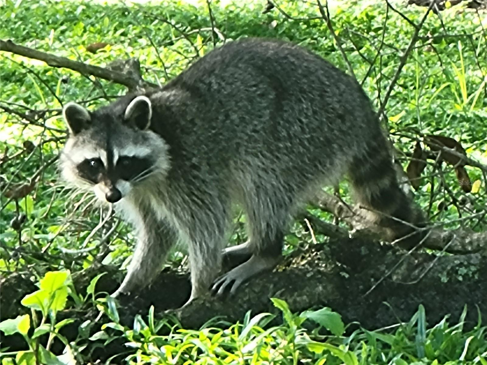 Image 69 of 76 For 4712 Belle Grove