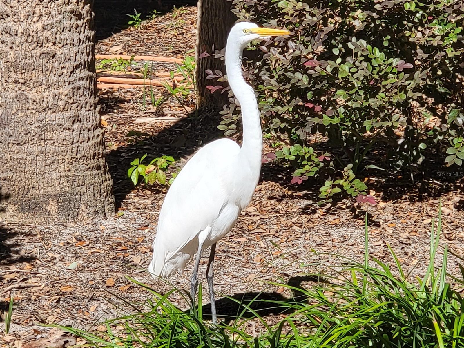 Image 71 of 76 For 4712 Belle Grove