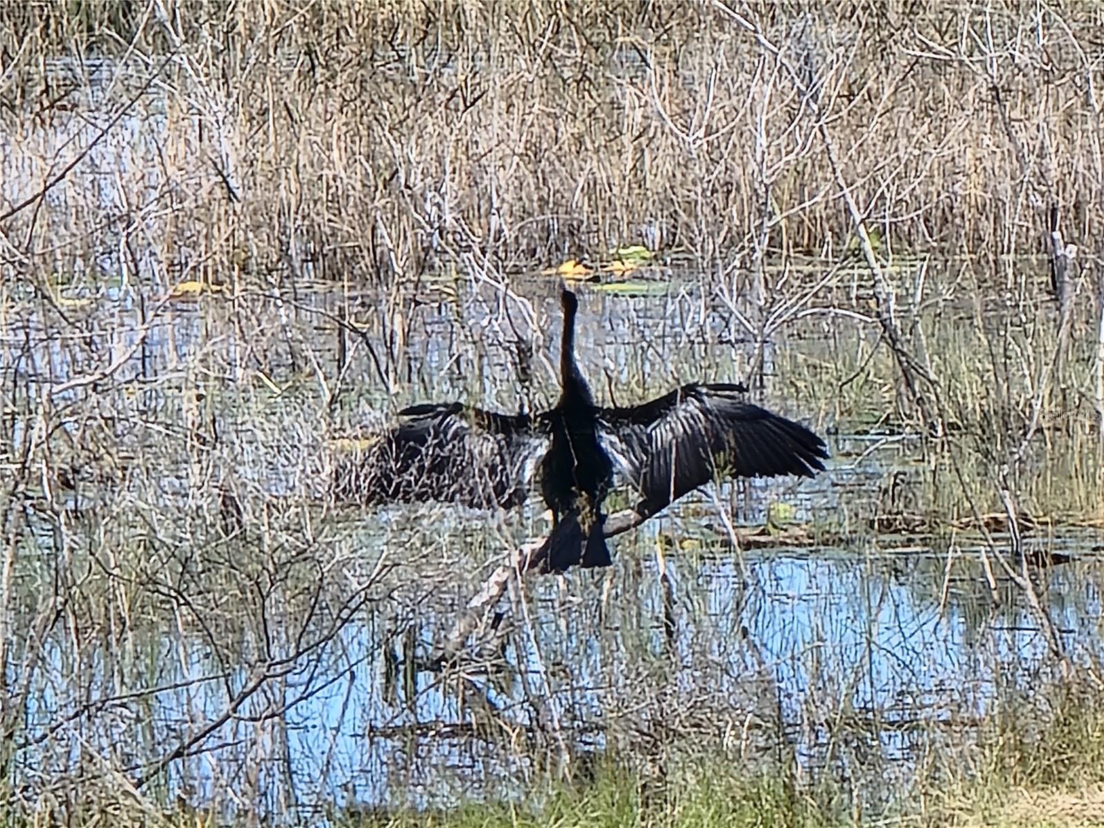 Image 75 of 76 For 4712 Belle Grove