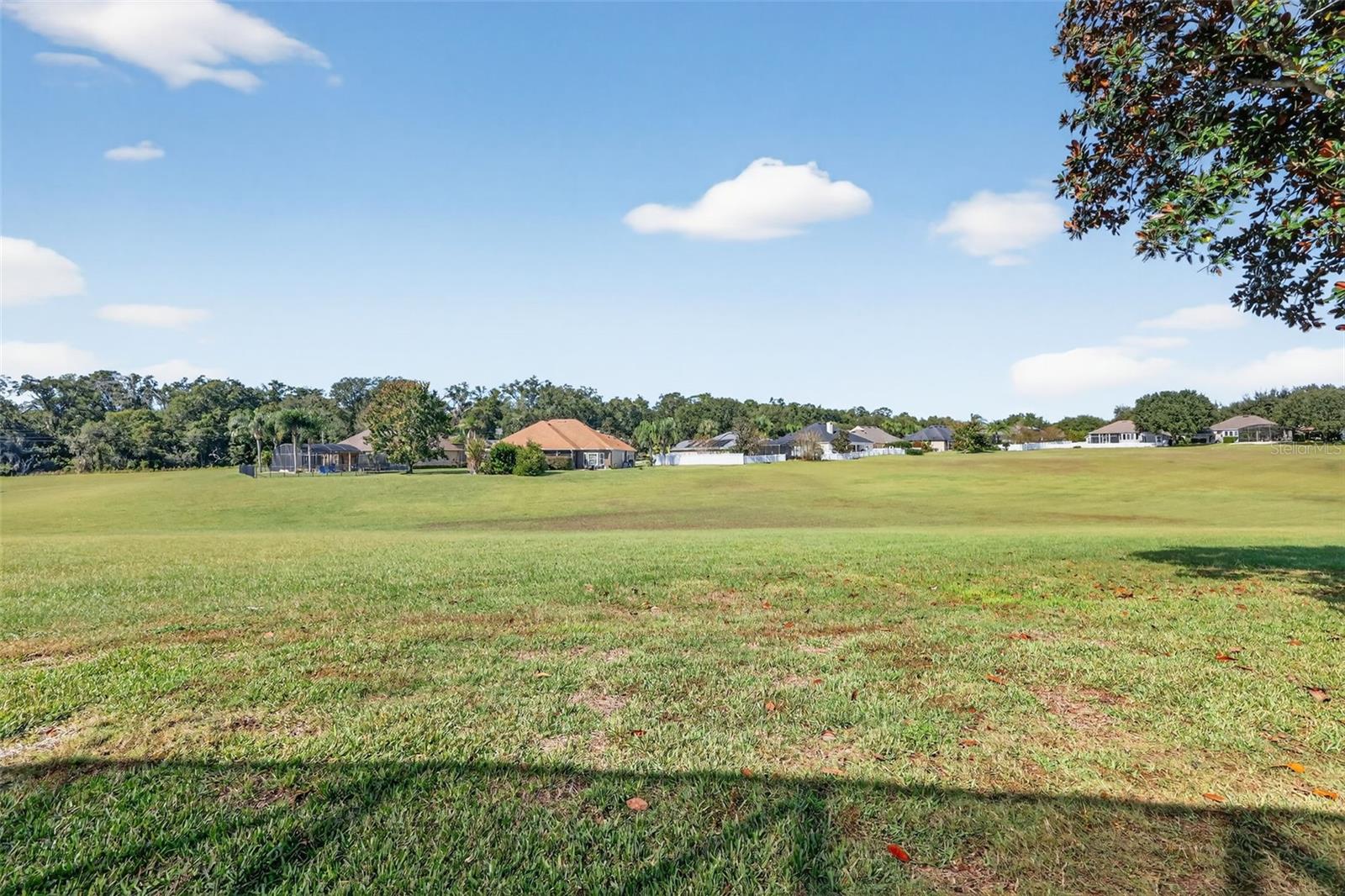 Image 52 of 53 For 23326 Oak Prairie Circle