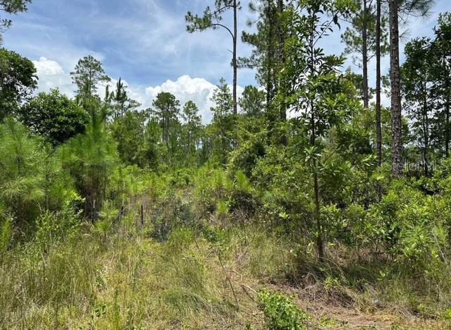 Image 3 of 4 For 116 1st Avenue