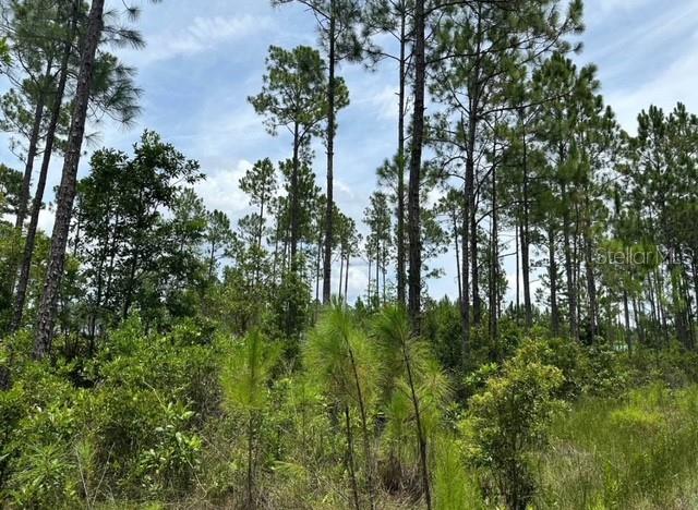 Image 4 of 4 For 116 1st Avenue