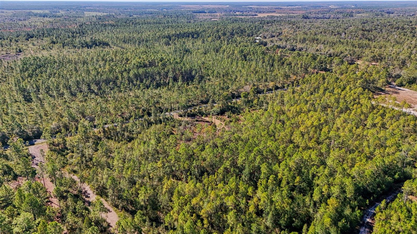 Image 7 of 11 For 212th Street