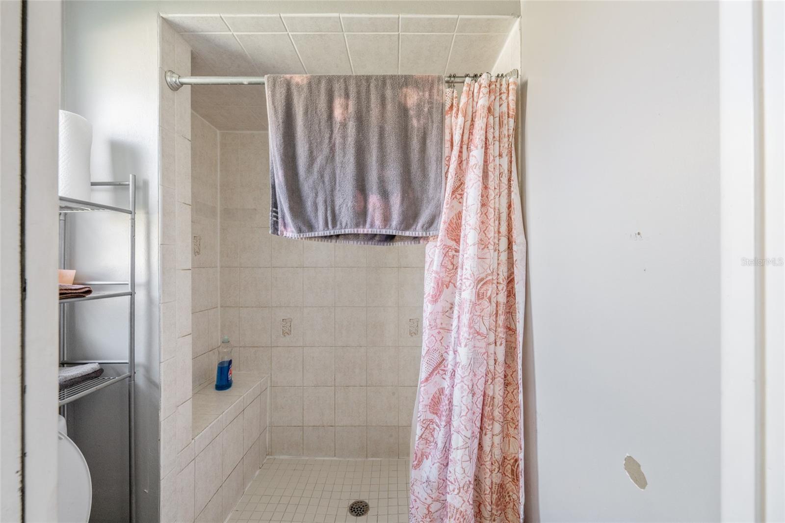 Image 19 of 29 For 203 Bentbough Drive