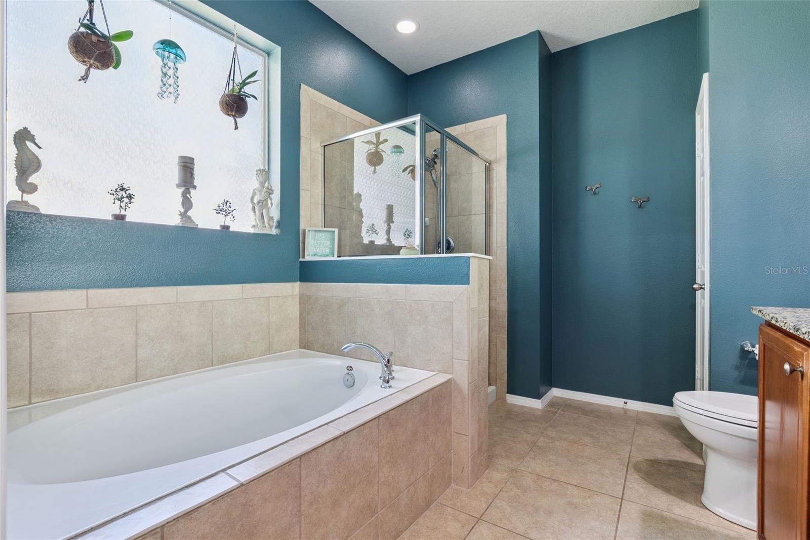 Image 21 of 54 For 30242 Tokara