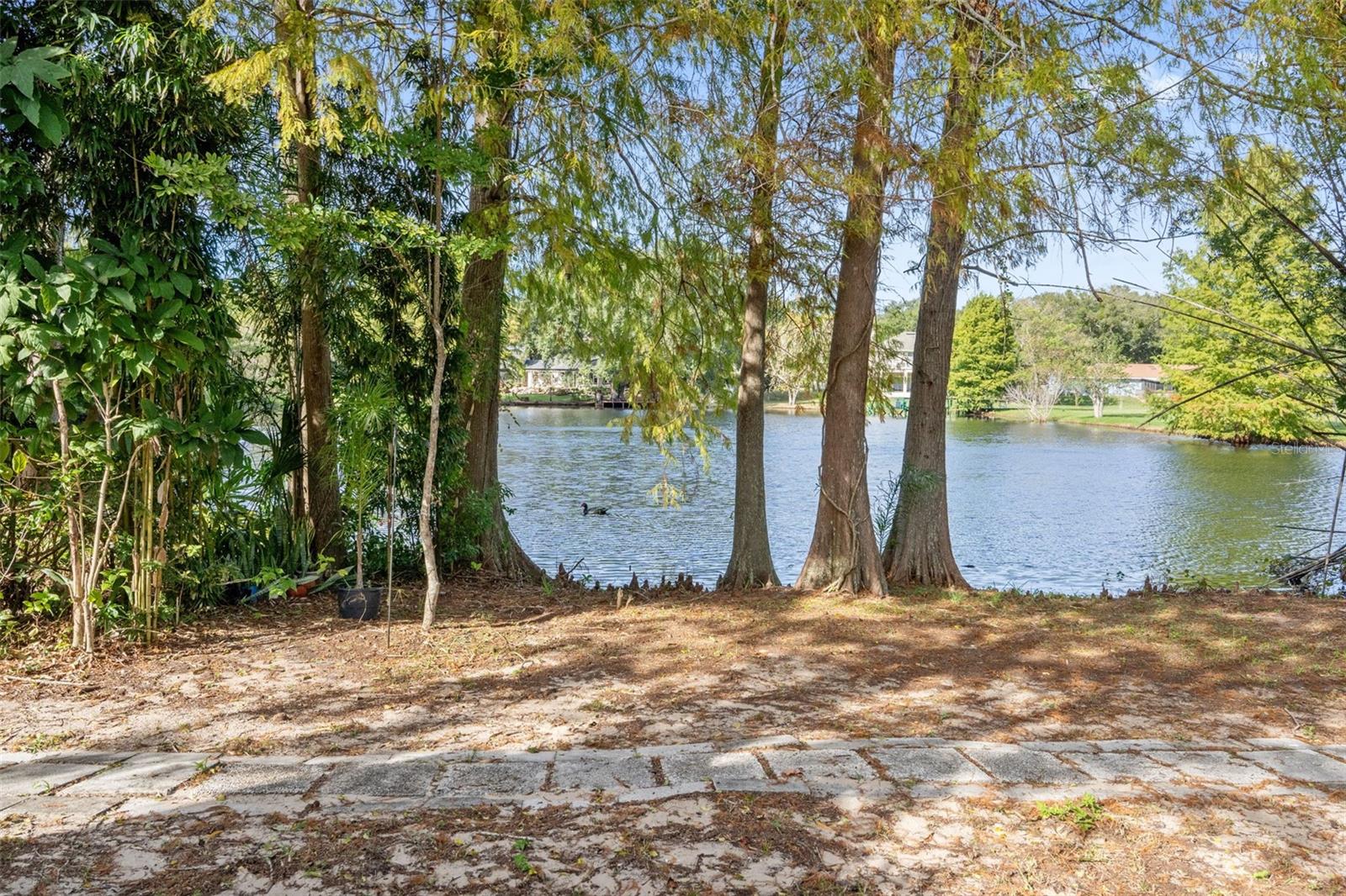 Image 2 of 40 For 16849 Omega Court