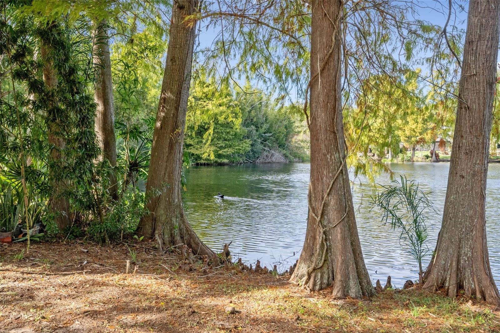 Image 29 of 40 For 16849 Omega Court