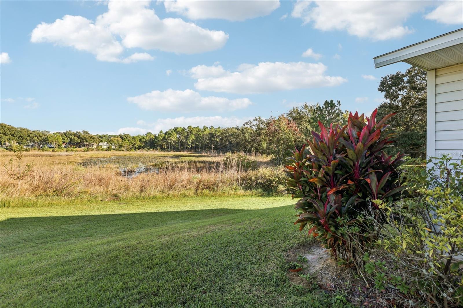 Image 24 of 27 For 26209 Newcombe Circle