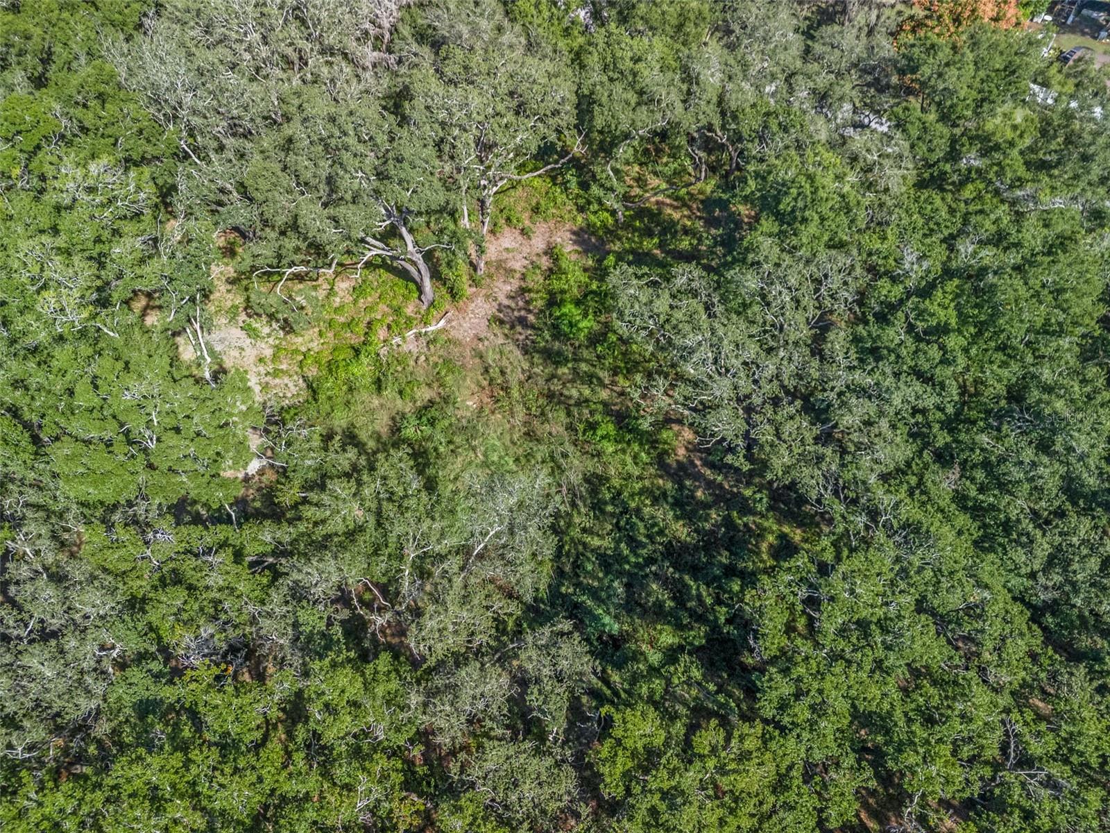 Image 2 of 17 For 99th Avenue