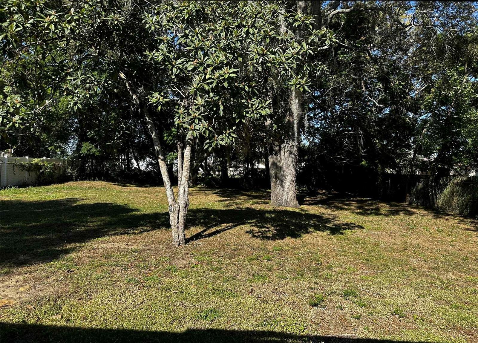 Image 16 of 16 For 115 Chesley Avenue