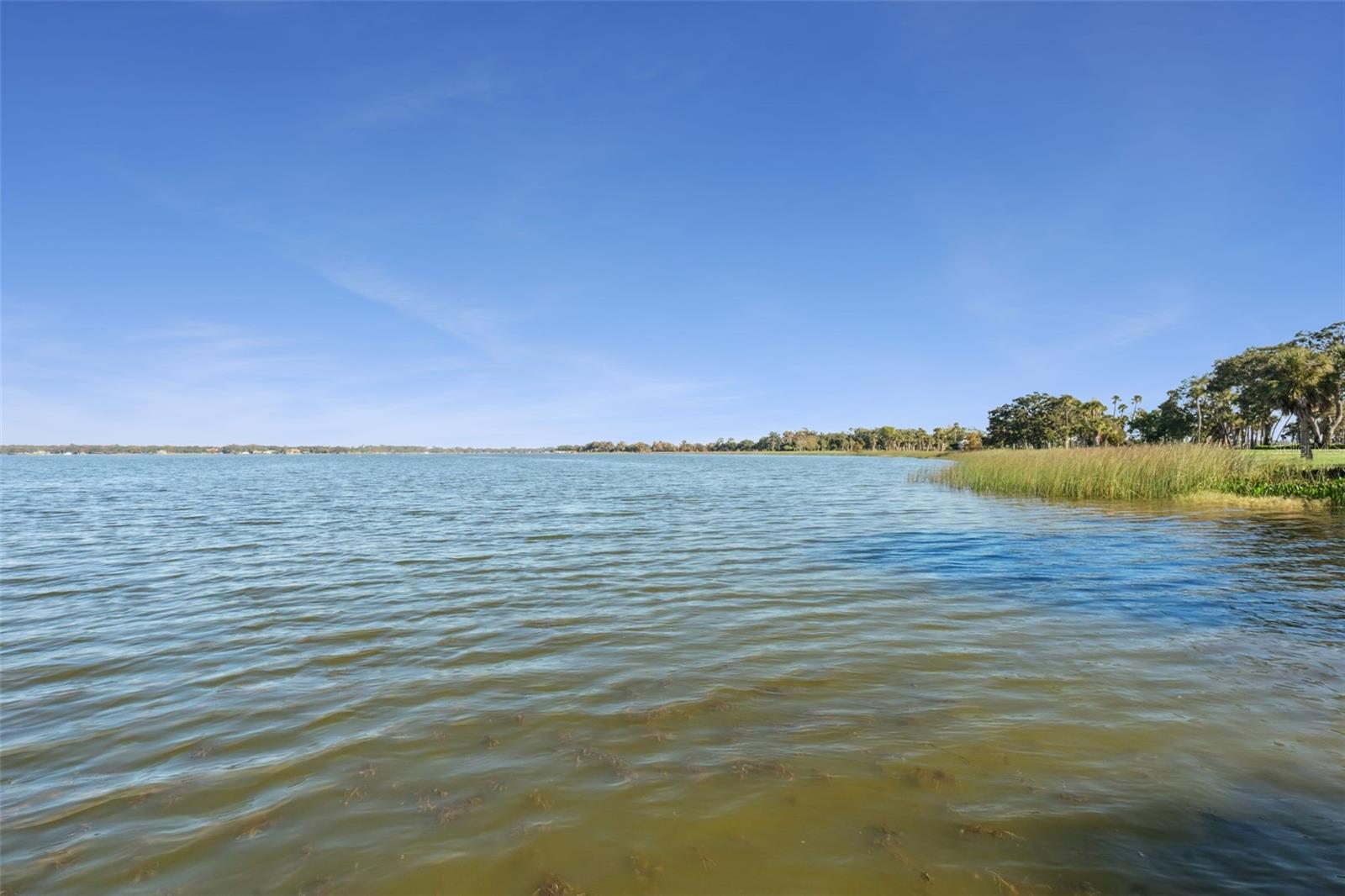 Image 3 of 56 For 16951 Deer Island Road