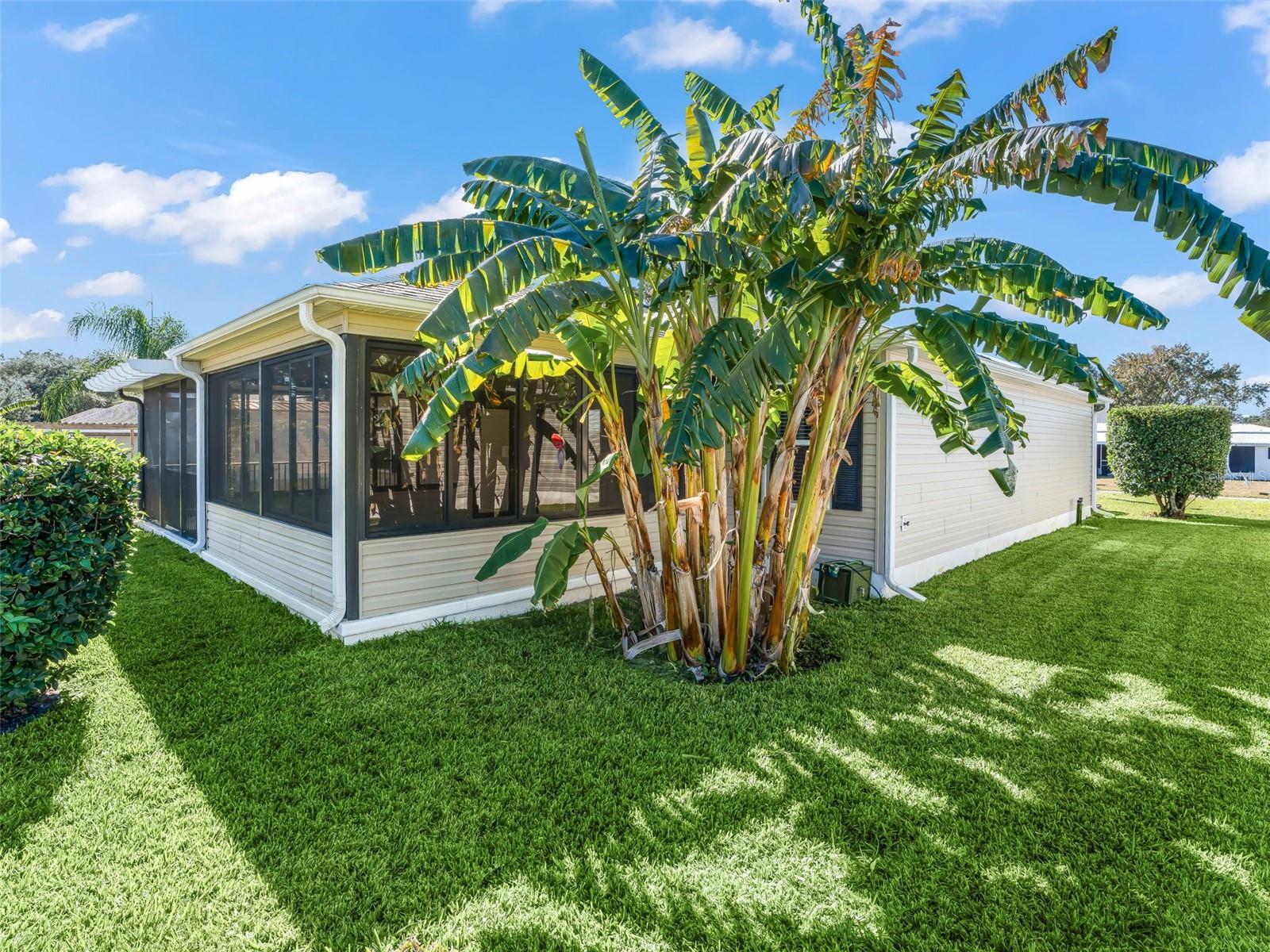 Image 33 of 37 For 828 Silver Oak Avenue